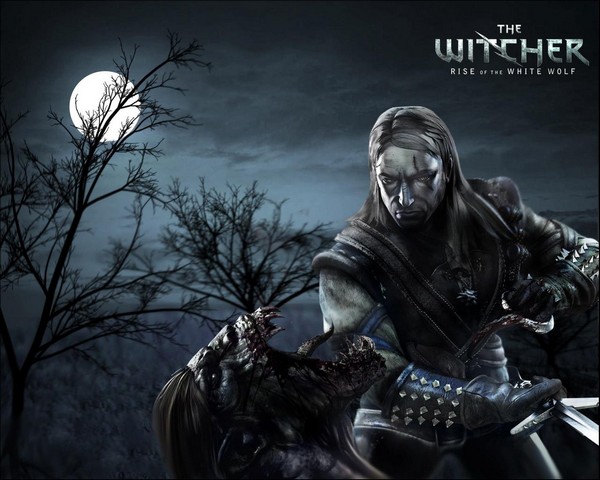 Обзор игры The Witcher